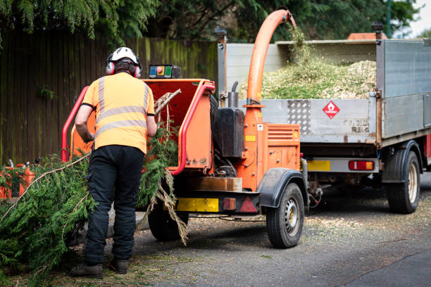 Mulching Services in Kirtland Af, NM
